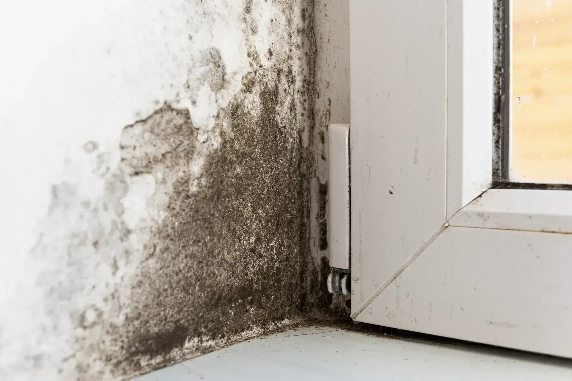 water damage restoration in Middleton, ID